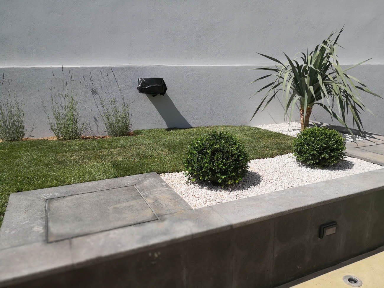 Giardino realizzato con agavi, cespugli e ghiaia bianca