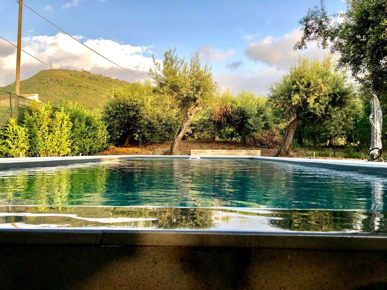 Piscina realizzata tra ulivi e siepi